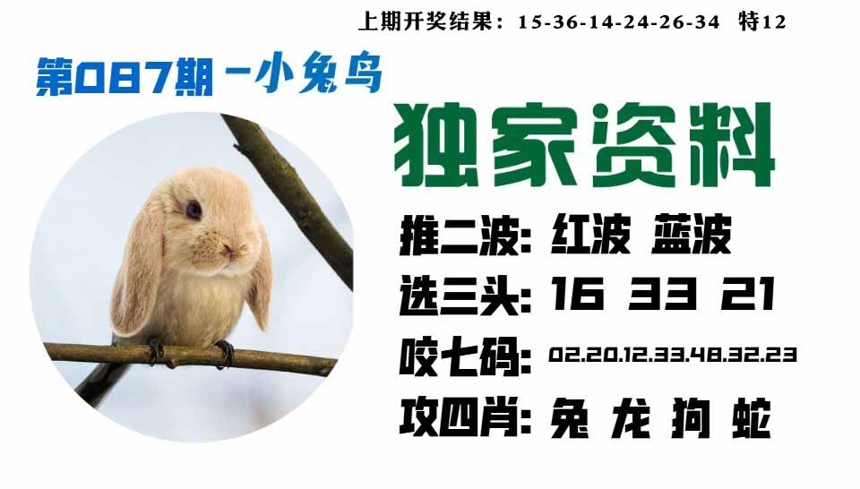 087期小兔鸟[图]